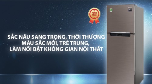 Tủ Lạnh Samsung Inverter RT22M4032DX/SV (236 Lít)